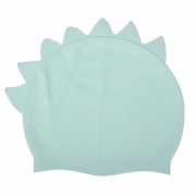 TD-CAP307